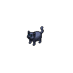 Gato negro